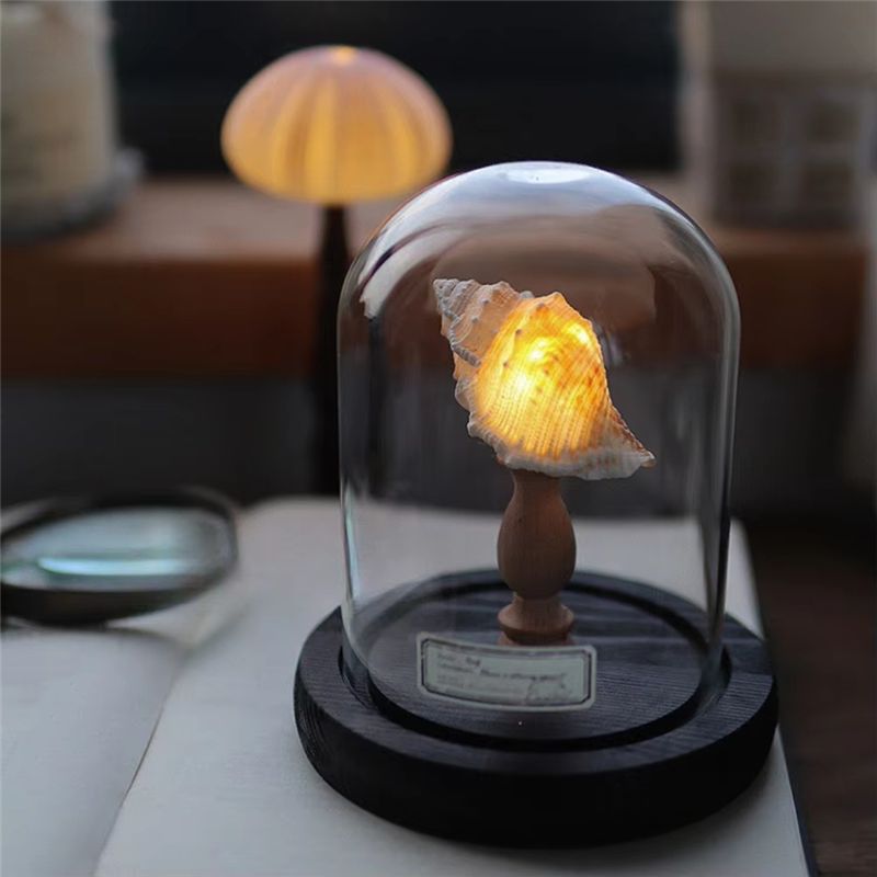 Exquisite-DIY Night Light Mini - Lighting Home Decor Ideas ulasan dan harga